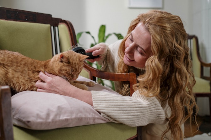 Guadagnare curando cani e animali domestici a casa